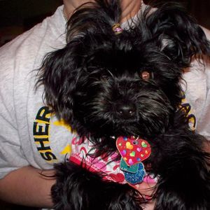 Meet your Posher, Mary