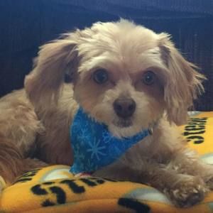 Meet your Posher, Kristin