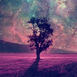 Meet your Posher, Maritza