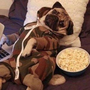 Meet your Posher, Kelsie