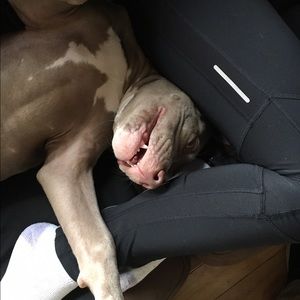 Meet your Posher, Arely