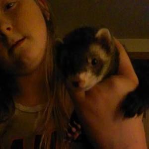 Meet your Posher, Brenda