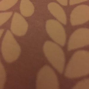 Meet your Posher, Chyna