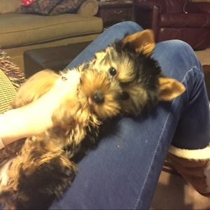 Meet your Posher, Nancy