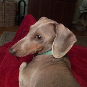 Meet your Posher, Julie