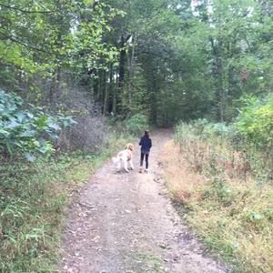 Meet your Posher, Bonnie