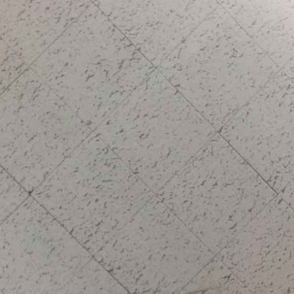 Meet your Posher, Taryn - Picture 1 of 1