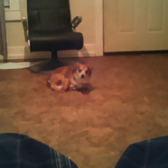 Meet your Posher, Adam - Picture 1 of 1