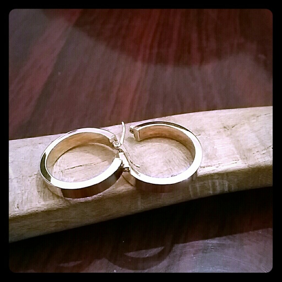 Lia sophia hoop earrings