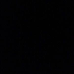 Meet your Posher, Jodie