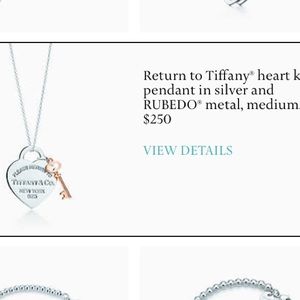 Tiffany and co necklace