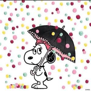 Meet your Posher, Daisy