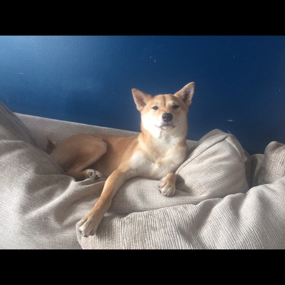 Meet your Posher, Em - Picture 2 of 4