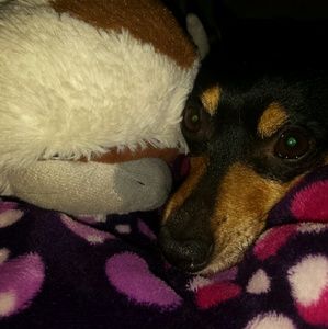 Meet your Posher, Alma