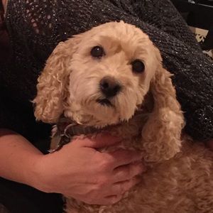 Meet your Posher, Sharon