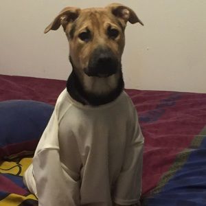 Meet your Posher, Priscilla