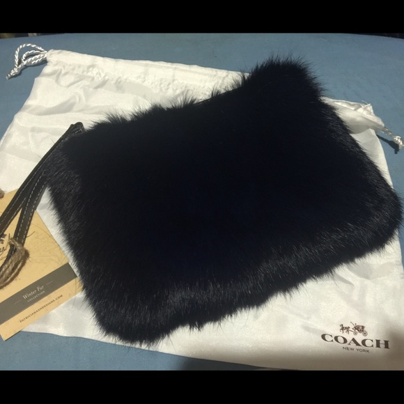 Fossil clutch