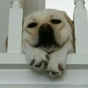 Meet your Posher, Kelly