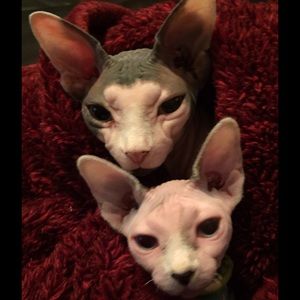 Meet your Posher, Kathy