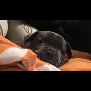 Meet your Posher, Keyona