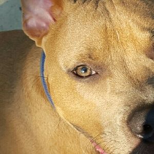 Meet your Posher, Fern