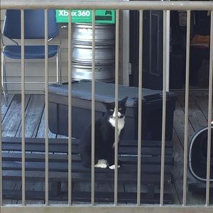 Meet your Posher, Kelsey