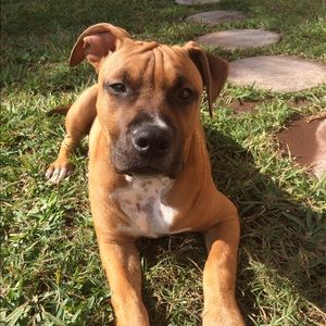 Meet your Posher, Erika