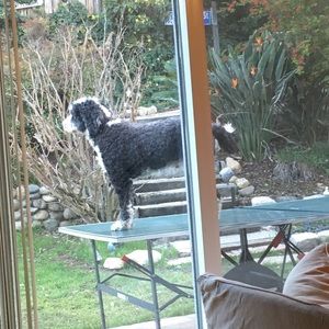 Meet your Posher, Clare