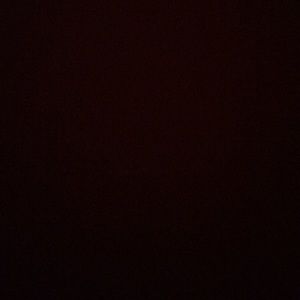 Meet your Posher, Kailee