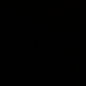 Meet your Posher, Jake