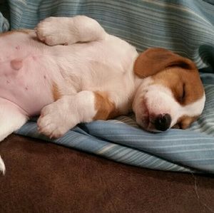 Meet your Posher, Sydney