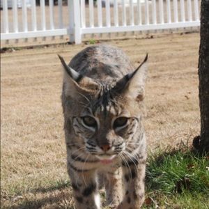 Meet your Posher, Kara