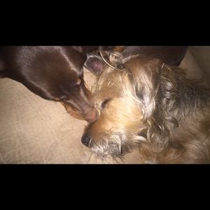 Meet your Posher, Michelle