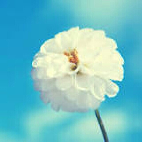 Meet your Posher, Britney - Picture 1 of 1