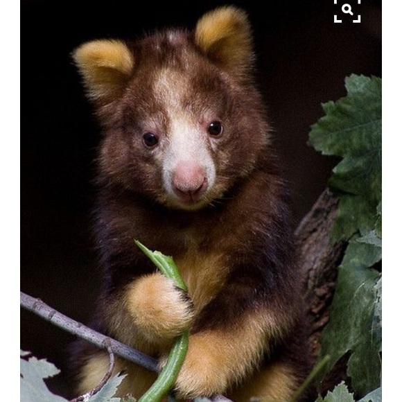 Meet your Posher, Tracy