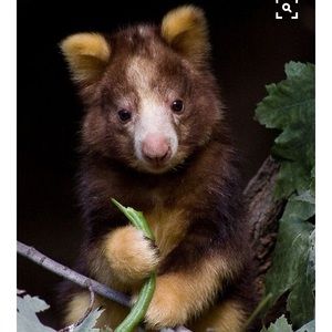 Meet your Posher, Tracy