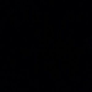 Meet your Posher, Lydia