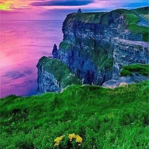 Meet your Posher, Rita