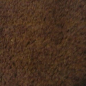 Meet your Posher, Cory