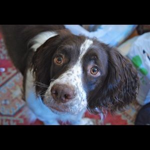 Meet your Posher, Zoe