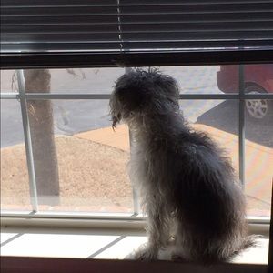 Meet your Posher, Drew