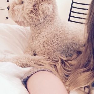 Meet your Posher, Ella