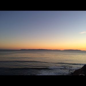 Meet your Posher, Suzie