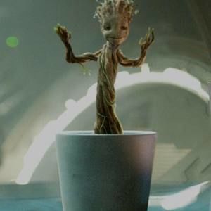 Meet your Posher, Magda