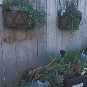 Meet your Posher, Joeie