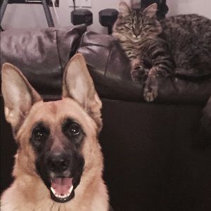 Meet your Posher, Jesse