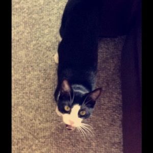 Meet your Posher, Janelle