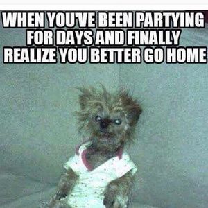 Meet your Posher, Tracy