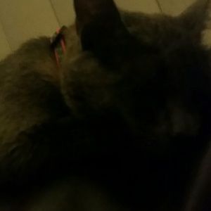 Meet your Posher, Kristie