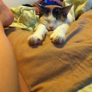 Meet your Posher, Sam